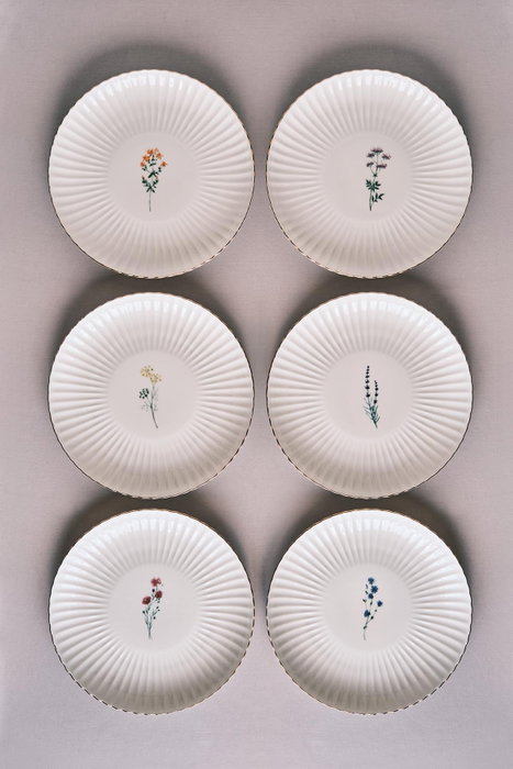 Hermia Juego de Platos de Servicio de Porcelana de 27 cm, 6 Piezas, Multicolor Hermia Juego de Platos de Servicio de Porcelana de 27 cm, 6 Piezas, Multicolor